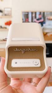 Imprimante thermique NiiMbot B21 Pro